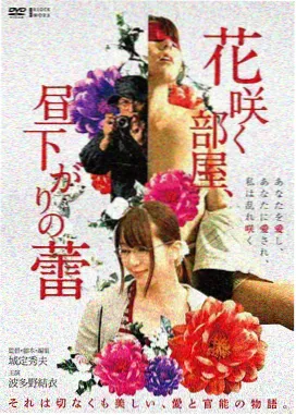 淘剧影视沉钟奖项提名档案图